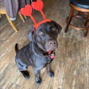 Meet your Posher, Angelina